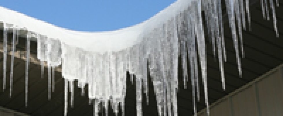 iStock_000004949911Small_cropped