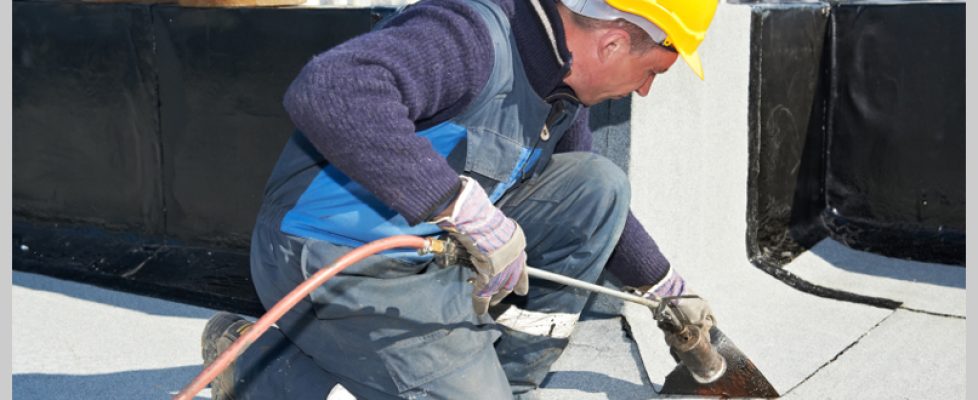 iStock_000019976772Small_cropped