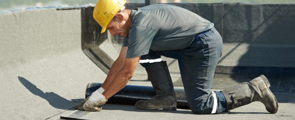 iStock_000021965449Small2